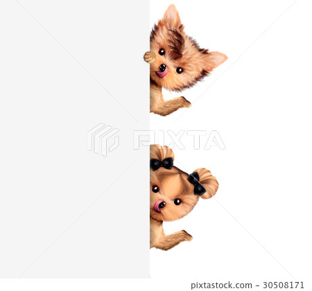 Funny couple of puppies holding empty banner Funny couple of puppies holding empty banner 30508171