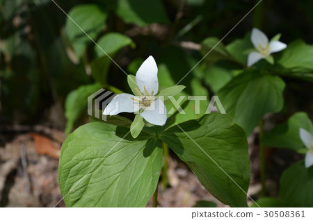 Ooba Nano Enresso Sapporo City Ooba Nano Enresso Sapporo City 30508361