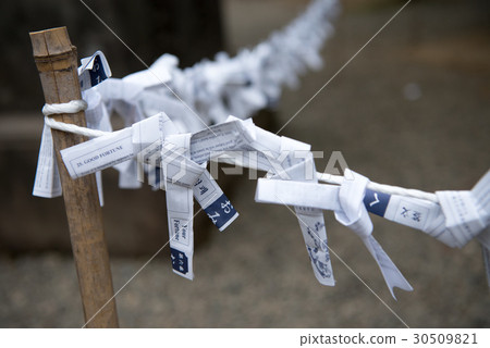 大禦二 大禦二 30509821