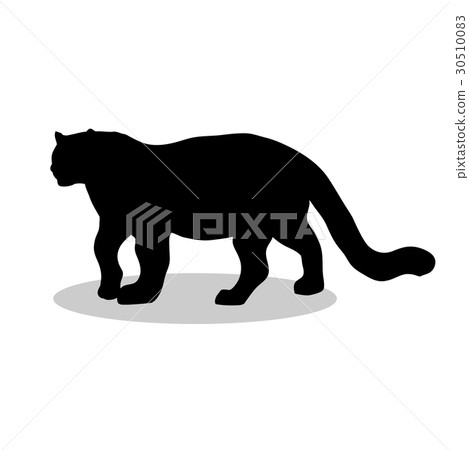 Leopard wildcat black silhouette animal. 30510083