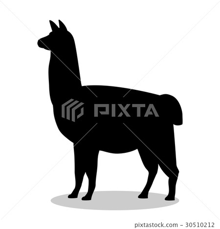 Lama mammal black silhouette animal 30510212