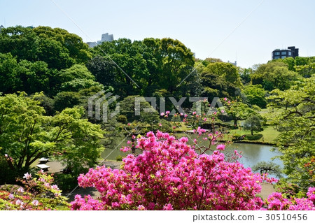 Fresh green Rokugien Fresh green Rokugien 30510456