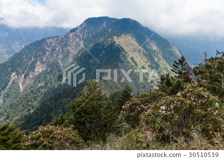 玉山西峰 30510539