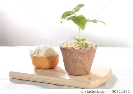 dessert 30511861