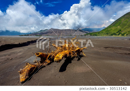 Mount Bromo volcano (Gunung Bromo) Mount Bromo volcano (Gunung Bromo) 30513142