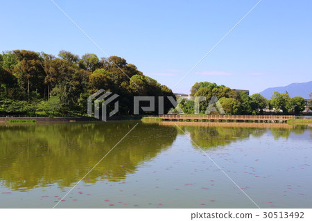 Nara Kashihara Jingumu Fukada Pond 30513492