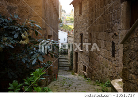 sorano sorano 30513737