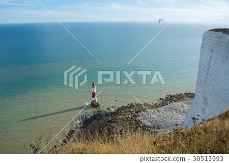 Beachy Head Lighthouse, summer evening  30513993