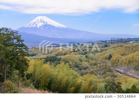 [Shizuoka Prefecture] Commuter trains running on Mt. Fuji and Tokaido Main Line in spring 30514664