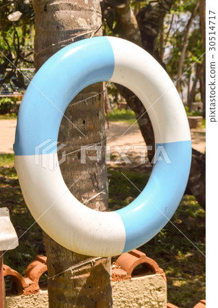 Blue and white rescue buoy hanging 30514717