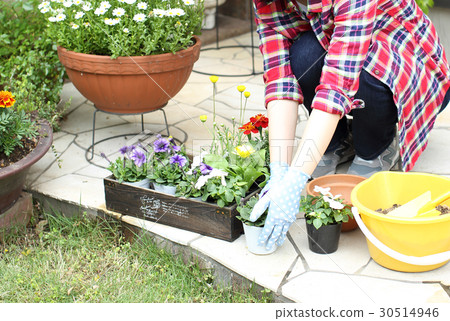 一個女人種花 30514946
