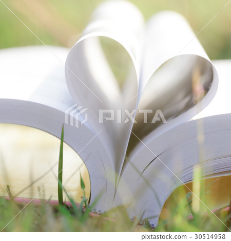 Heart shape from paper book on grass field Heart shape from paper book on grass field 30514958