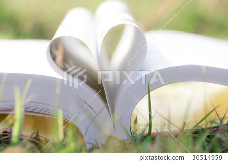 Heart shape from paper book on grass field Heart shape from paper book on grass field 30514959