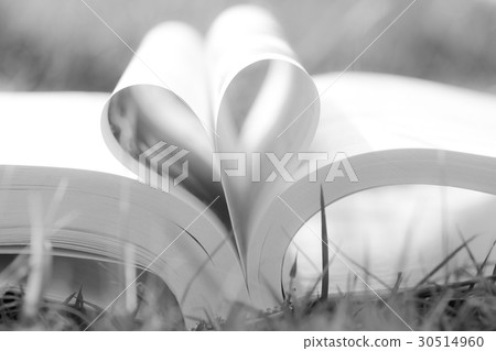 Heart shape from paper book on grass field Heart shape from paper book on grass field 30514960