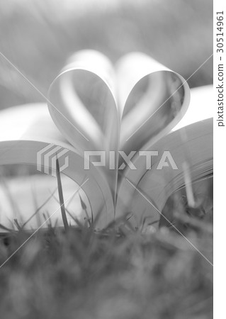 Heart shape from paper book on grass field Heart shape from paper book on grass field 30514961
