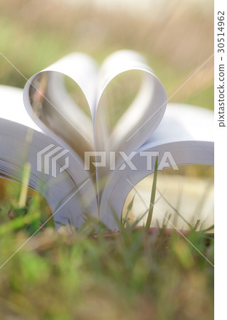 Heart shape from paper book on grass field Heart shape from paper book on grass field 30514962