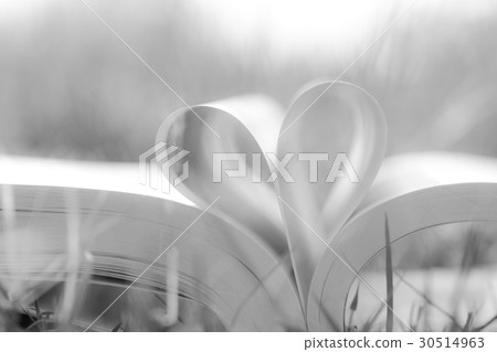 Heart shape from paper book on grass field Heart shape from paper book on grass field 30514963
