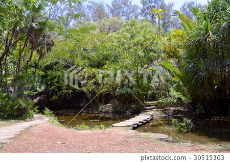 Small stone slab deck in a tropical Small stone slab deck in a tropical 30515303