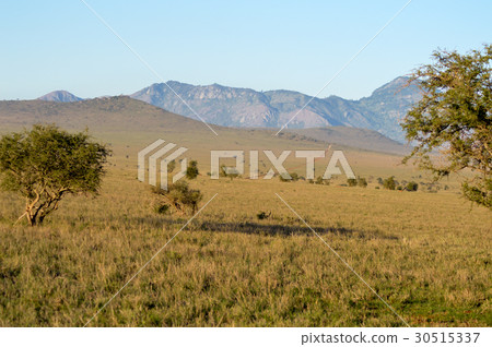 View of the Tsavo East savannah 30515337