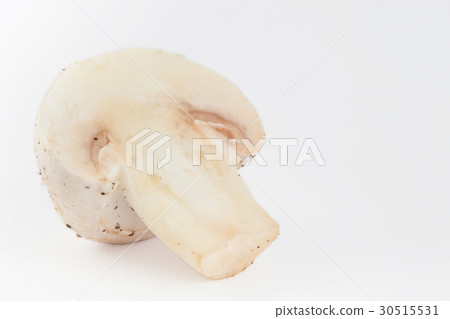 Freshly harvested mushroom (Agaricus bisporus) 30515531