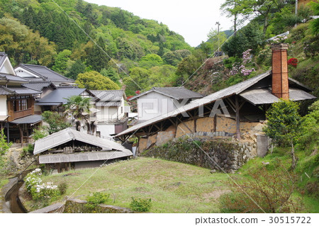 小Shakuda Yakinosato 30515722