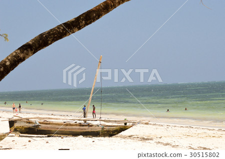 Beam on the Indian Ocean beach Beam on the Indian Ocean beach 30515802