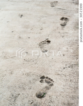 bare foot imprints on old stoneed texture floor 30515999