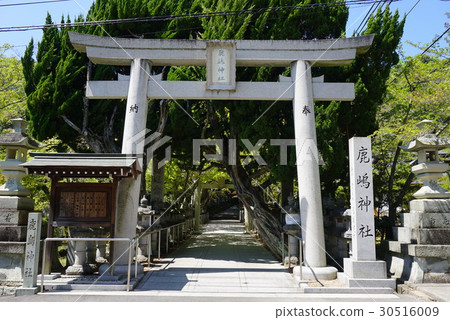 Hyogo prefecture Takasago city Kashima shrine 30516009