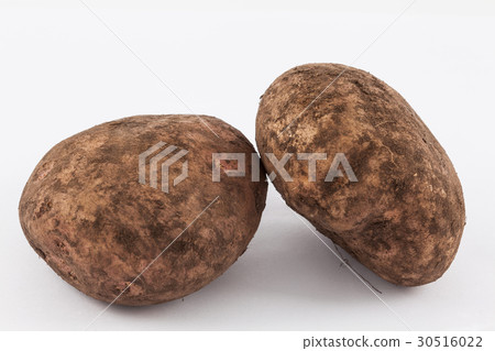 Potato (Solanum tuberosum) isolated Potato (Solanum tuberosum) isolated 30516022