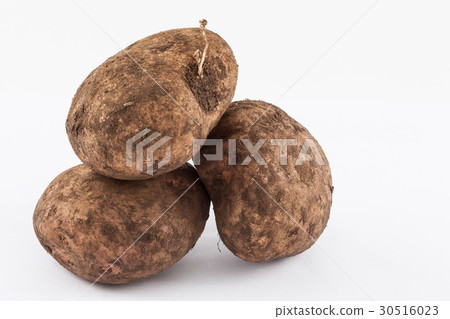 Potato (Solanum tuberosum) isolated Potato (Solanum tuberosum) isolated 30516023