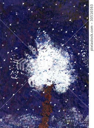 Snowy tree at night Snowy tree at night 30516563