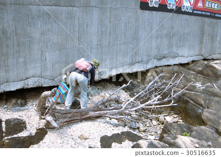 Nanami Man，體驗環保人士 30516635