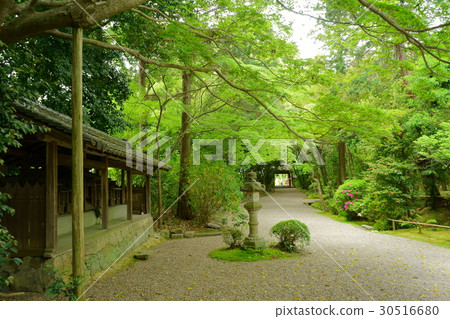 奈良，Akishinoji接近道路 30516680