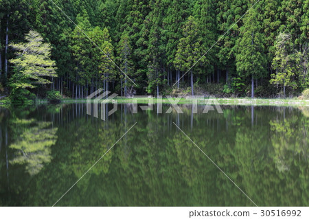 沉默 沉默 30516992