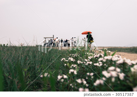 Floret, group of people 30517387