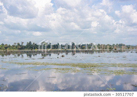 Artificial lake with bare trees around Neak Pean 30517707