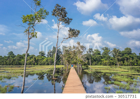 The path towards to Neak Pean temple The path towards to Neak Pean temple 30517731