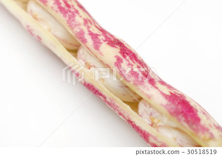 鵪鶉豆 鵪鶉豆 30518519