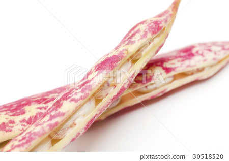 Quail beans Quail beans 30518520