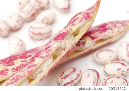 Quail beans Quail beans 30518522