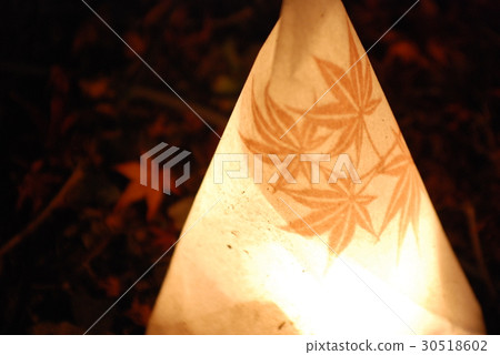 楓樹和燈籠 30518602