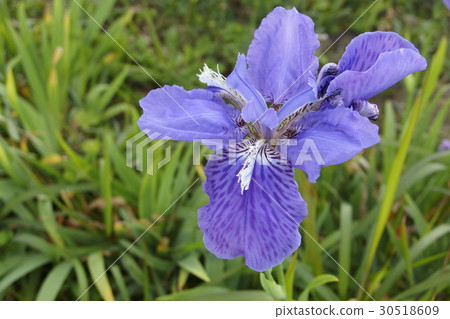 一個人的第 一個人的第 30518609