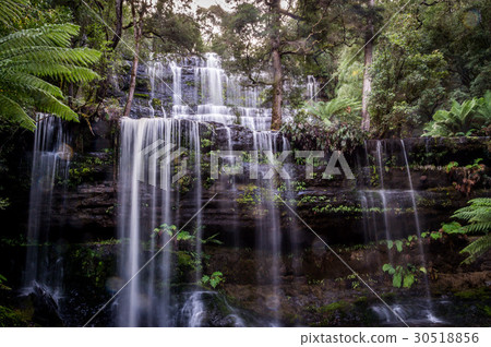 Famous Russell Falls in Mount Field National Park 30518856