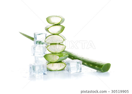 Aloe Vera Plant and Ice Cubes on White Background 30519905