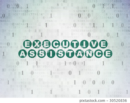 Finance concept: Executive Assistance on Digital 30520836