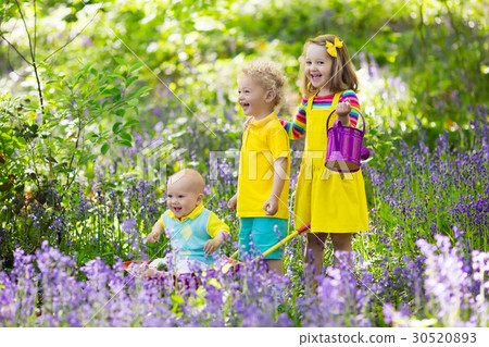 Kids in bluebell flower forest in summer Kids in bluebell flower forest in summer 30520893