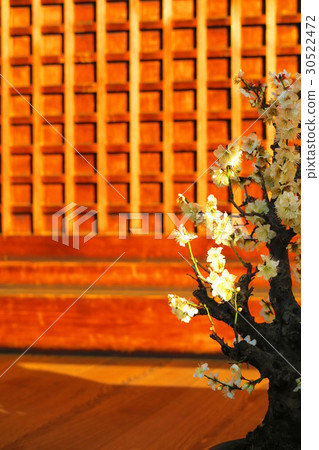 Yushima Tenjin (Ume Festival · Designated Cultural Property) 30522472