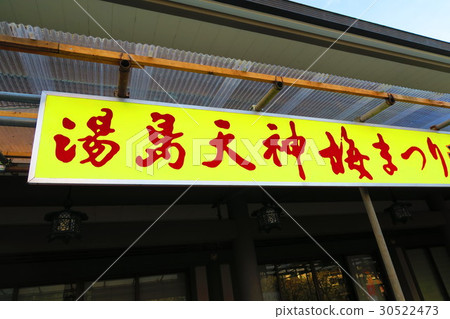 Yushima Tenjin (Ume Festival · Designated Cultural Property) 30522473