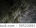 Yodo-dong / Okinoerabu-jima 30522891