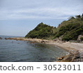 Migratory birds 30523011